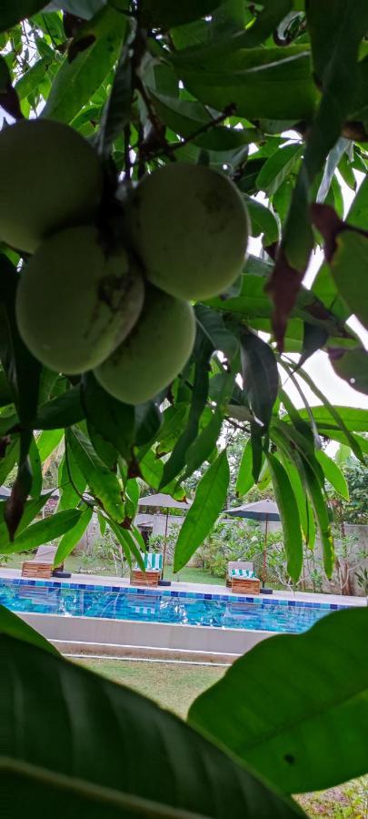 Mango Tree Villa Bentota Exteriér fotografie